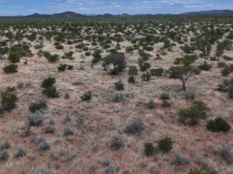 A well-priced opportunity in the heart of the Khorigas district – perfect for serious buyers looking to invest in Namibia’s agricultural sector. - Photo 2