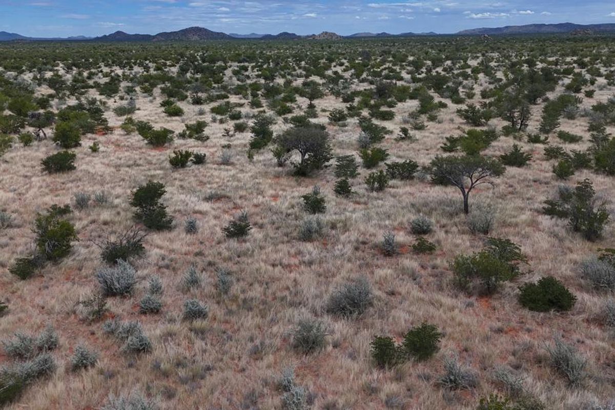A well-priced opportunity in the heart of the Khorigas district – perfect for serious buyers looking to invest in Namibia’s agricultural sector. - Photo 2