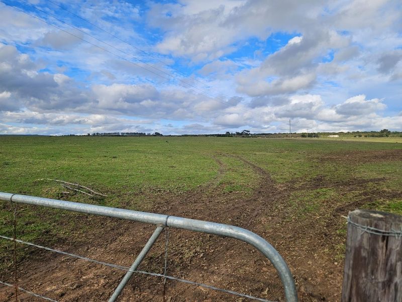 Get back-to-basics in beautiful B-Bos - Photo 4