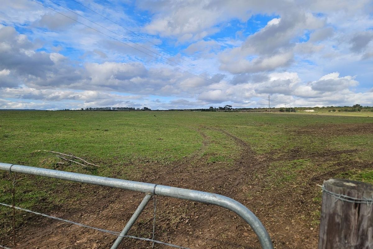 Get back-to-basics in beautiful B-Bos - Photo 4