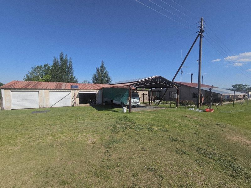 Well-Watered Mixed-Farming Opportunity in the Ladybrand District - Photo 10