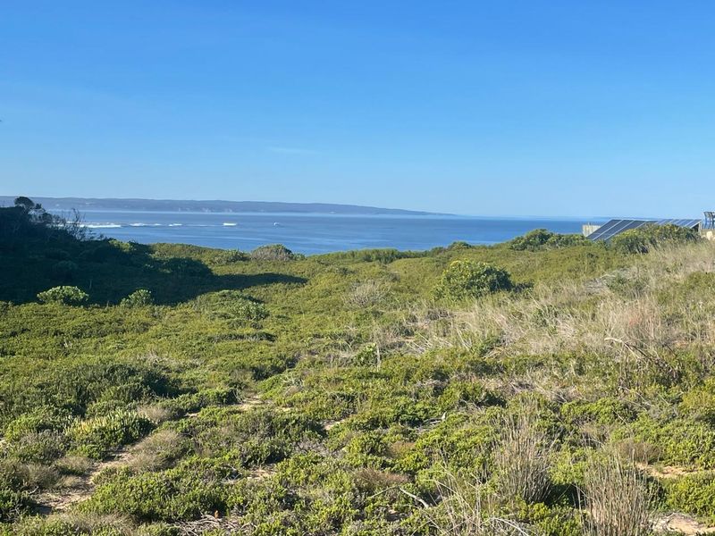 Bosbokduin Oasis - Photo 6