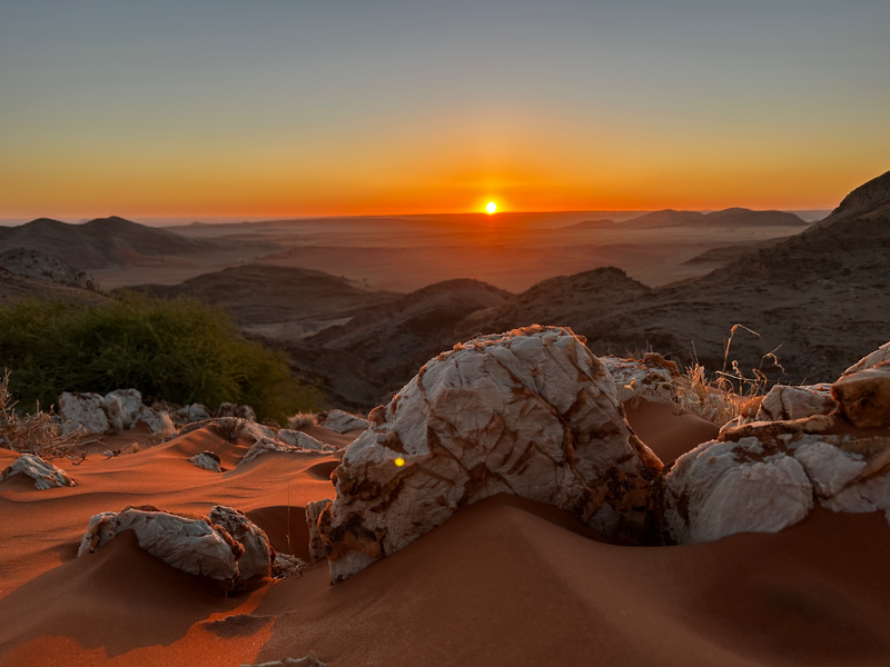 Untouched Desert Beauty - Photo 1