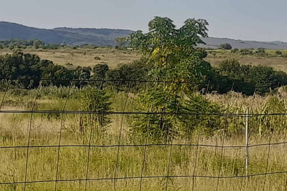 8.9 HECTARE FARM CLOSE TO LANSERIA  AIRPORT FOR SALE - Photo 2