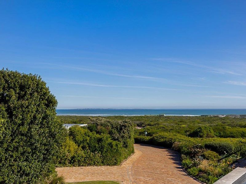 A scenic elevated view overlooking the coastal landscape, native vegetation, and a paved driveway leading towards the ocean horizon.