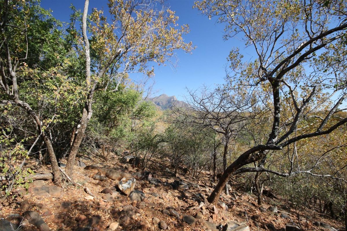 A scenic view of the natural landscape featuring rocky terrain, native trees, and a distant mountain range under a clear blue sky.