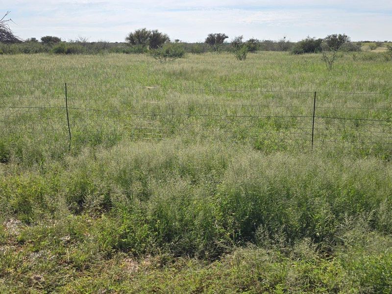 Beautiful Farm in The South Of Namibia For Sale - Photo 7