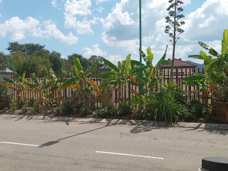 stand for sale. - Photo 3