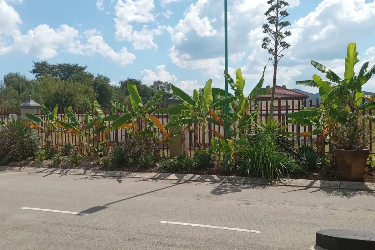 stand for sale. - Photo 3