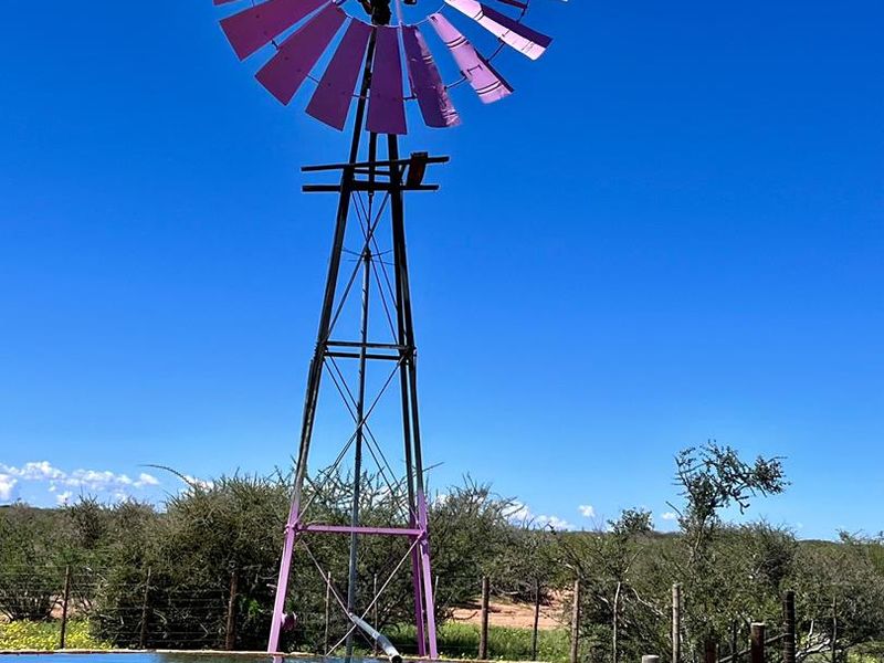 A RARE MUST HAVE CATTLE FARM | FOR SALE IN //KARAS REGION - Photo 10