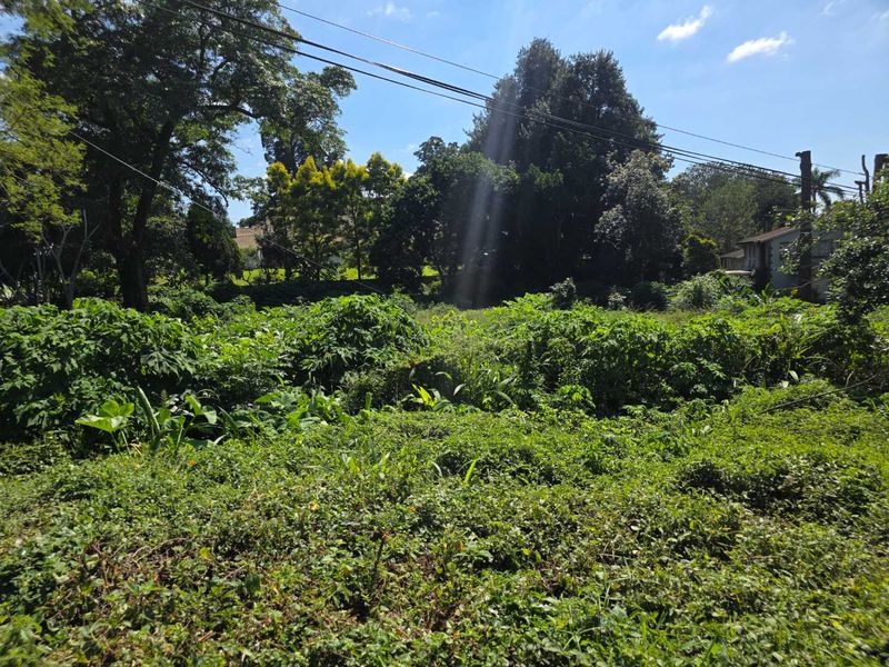 Prime Commercial Land for Sale in Kloof, Clifton Park - Photo 2