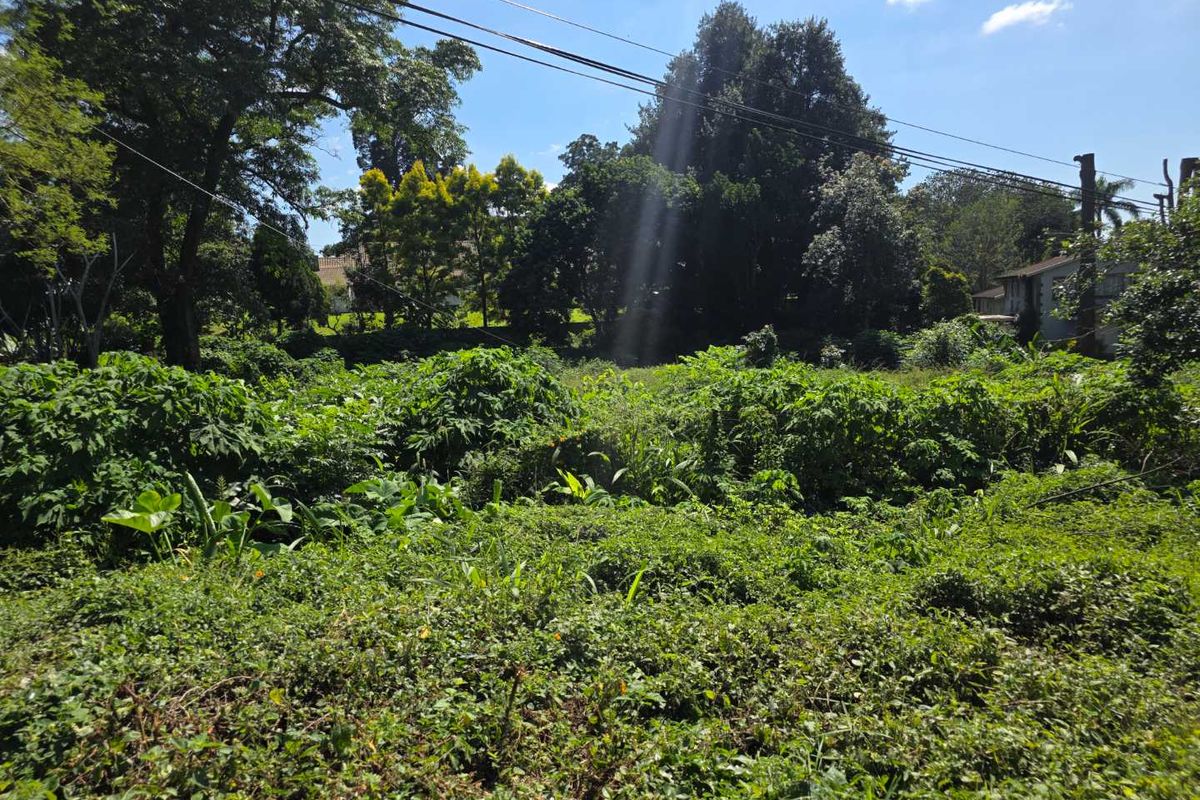 Prime Commercial Land for Sale in Kloof, Clifton Park - Photo 2