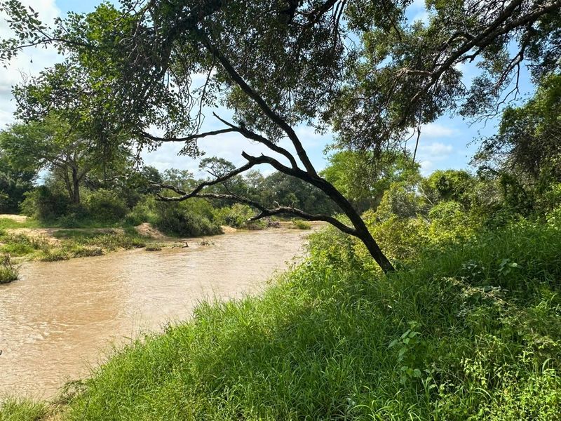 12,000 m2 Riverfront Stand in Moditlo Wildlife Estate - Photo 4