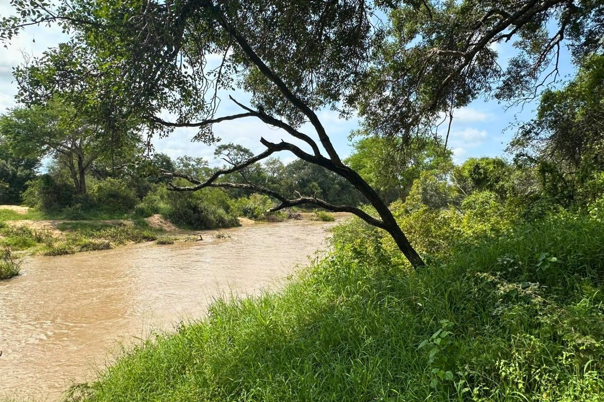 12,000 m2 Riverfront Stand in Moditlo Wildlife Estate - Photo 4
