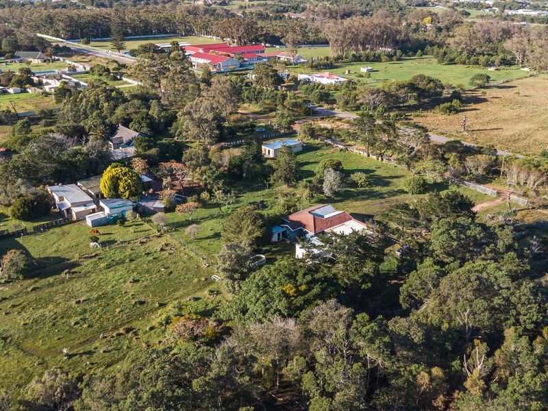 1.5 ha Smallholding – Prime Investment Opportunity on the Outskirts of Port Elizabeth - Photo 6