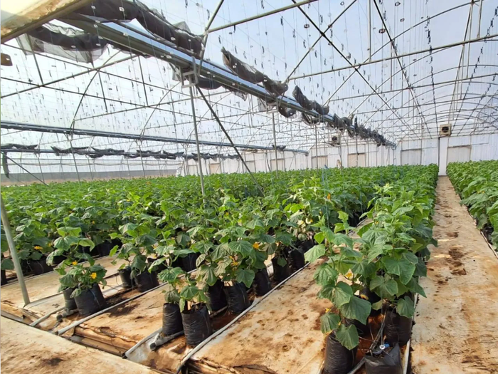 Property #2489053, Farm For Sale in Meyerton Rural