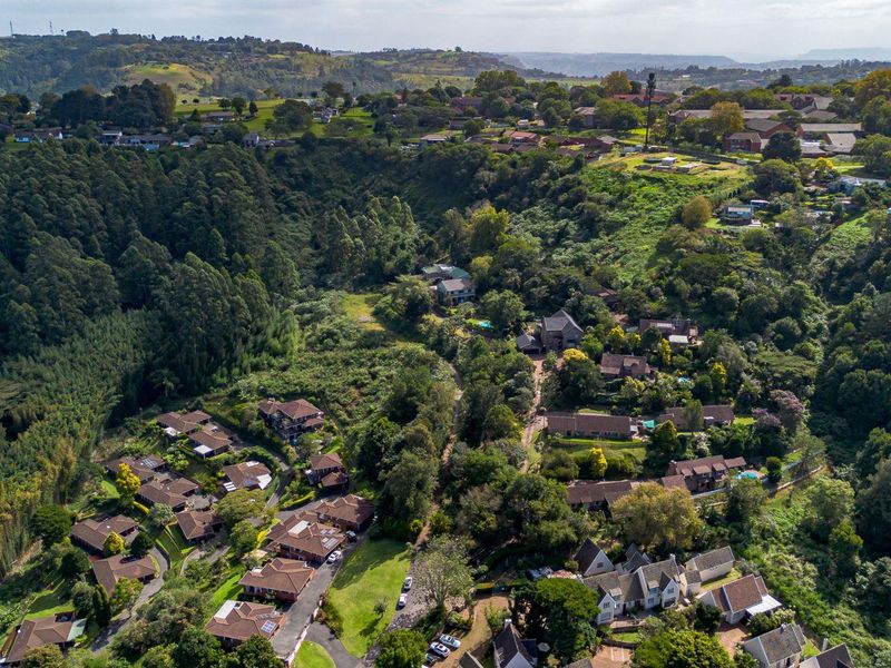 Developmental Opportunities or a Dream Home - Photo 10