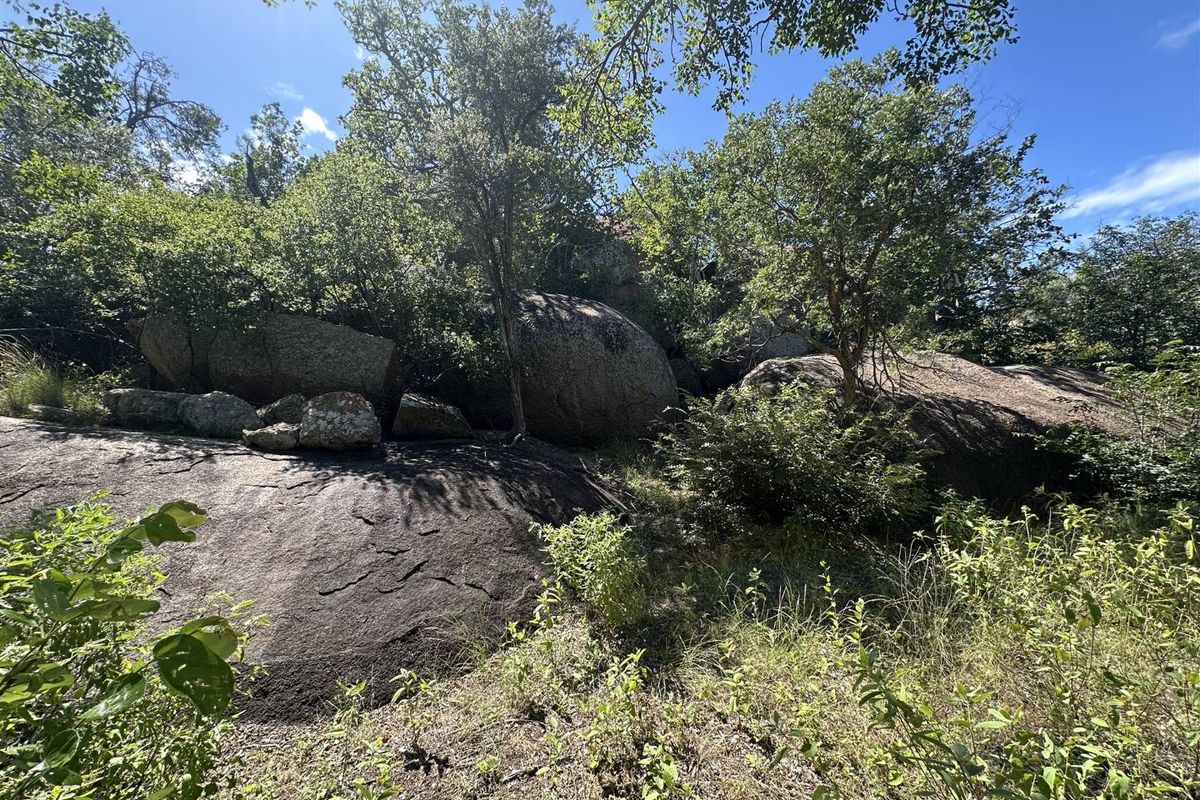 Secure a stunning stand in the bush in this pet friendly and exclusive reserve. - Photo 2