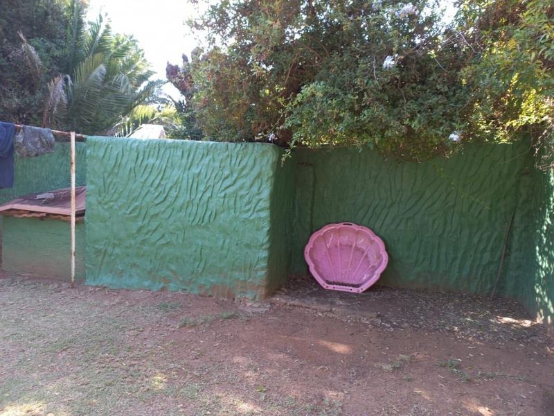 A garden area featuring a textured green boundary wall and a metal support structure in a small holding setting.