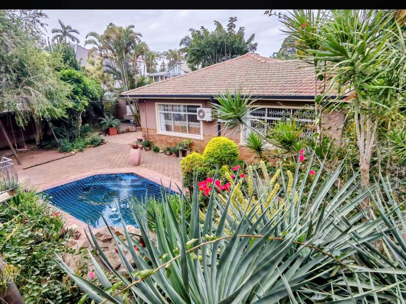 Rear view of the property featuring a paved patio area, a swimming pool with safety net, and established garden landscaping.