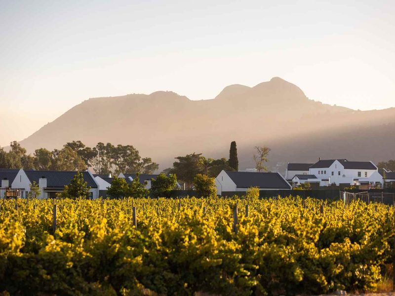 Beautiful and Newly Built Three Bedroom Home at Paarl Valleij Lifestyle Estate & Farm - Photo 5