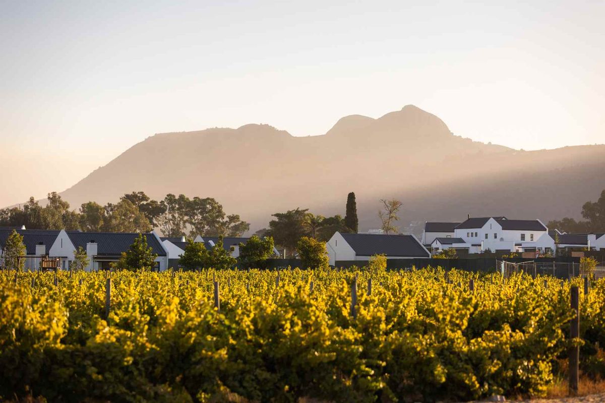 Beautiful and Newly Built Three Bedroom Home at Paarl Valleij Lifestyle Estate & Farm - Photo 5