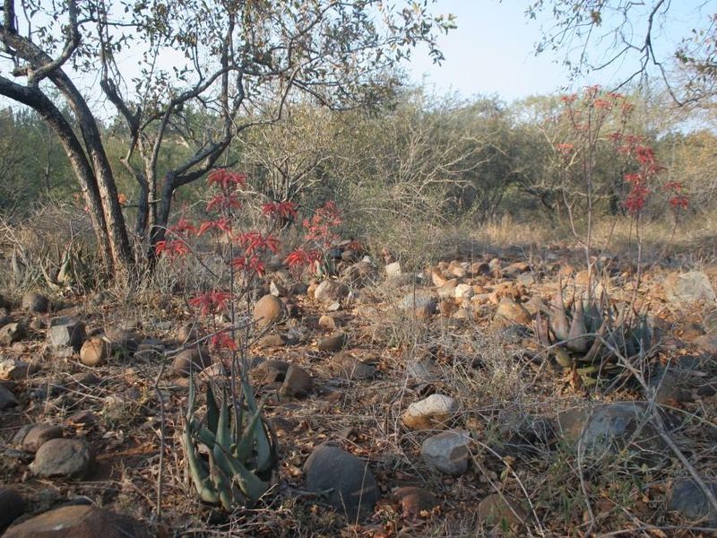 Alluring riverfront stand for sale. - Photo 8