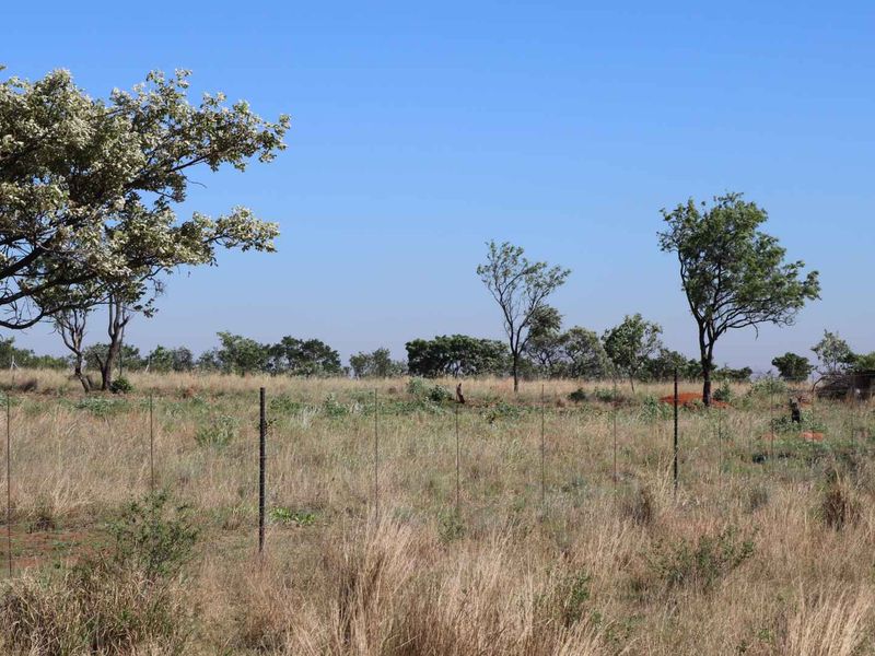 An expansive open plot of land featuring natural veld vegetation, mature trees, and perimeter wire fencing.