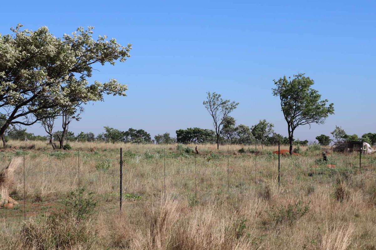 An expansive open plot of land featuring natural veld vegetation, mature trees, and perimeter wire fencing.