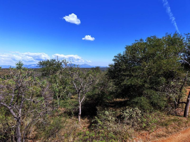 A scenic view of the natural landscape featuring native trees and distant mountains under a clear blue sky.