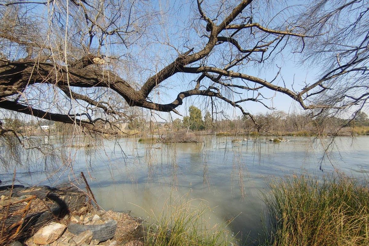 A scenic view of the river frontage featuring natural vegetation and mature trees on the agricultural land.