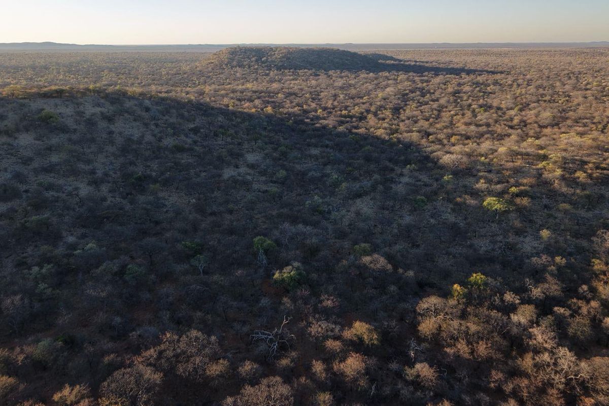 An expansive aerial view of the surrounding natural bushveld landscape, showcasing the vast, untouched terrain typical of the lodge's location.