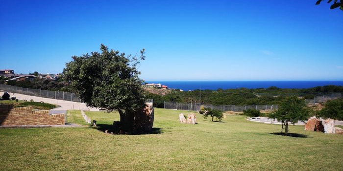 Property #2350818, Vacant Land Residential For Sale in Blue Ridge