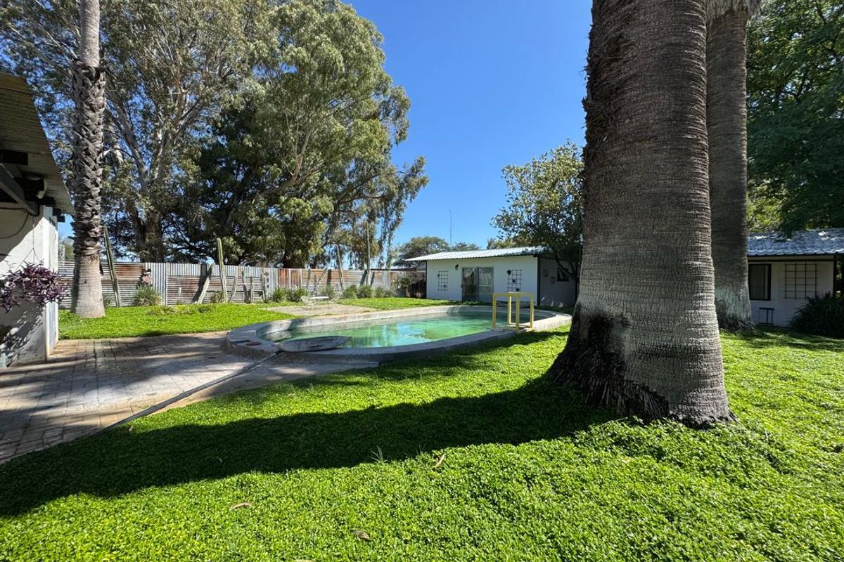 Outdoor pool area featuring a swimming pool, paved patio space, and mature palm trees set within a fenced garden environment.