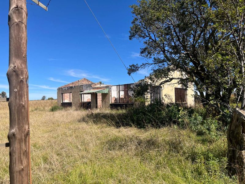 Restore, Cultivate, Live: 52-Hectare Farm Near Bronkhorstspruit! - Photo 6
