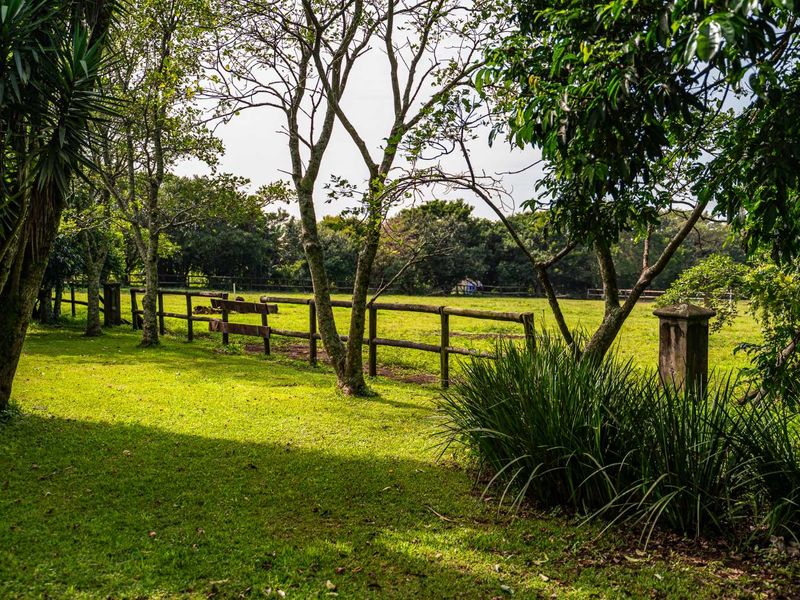 Breathtaking 3 Bedroom Modern Home in Alverstone Equestrian Estate - Photo 9