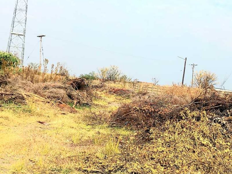 Farm land - Photo 3