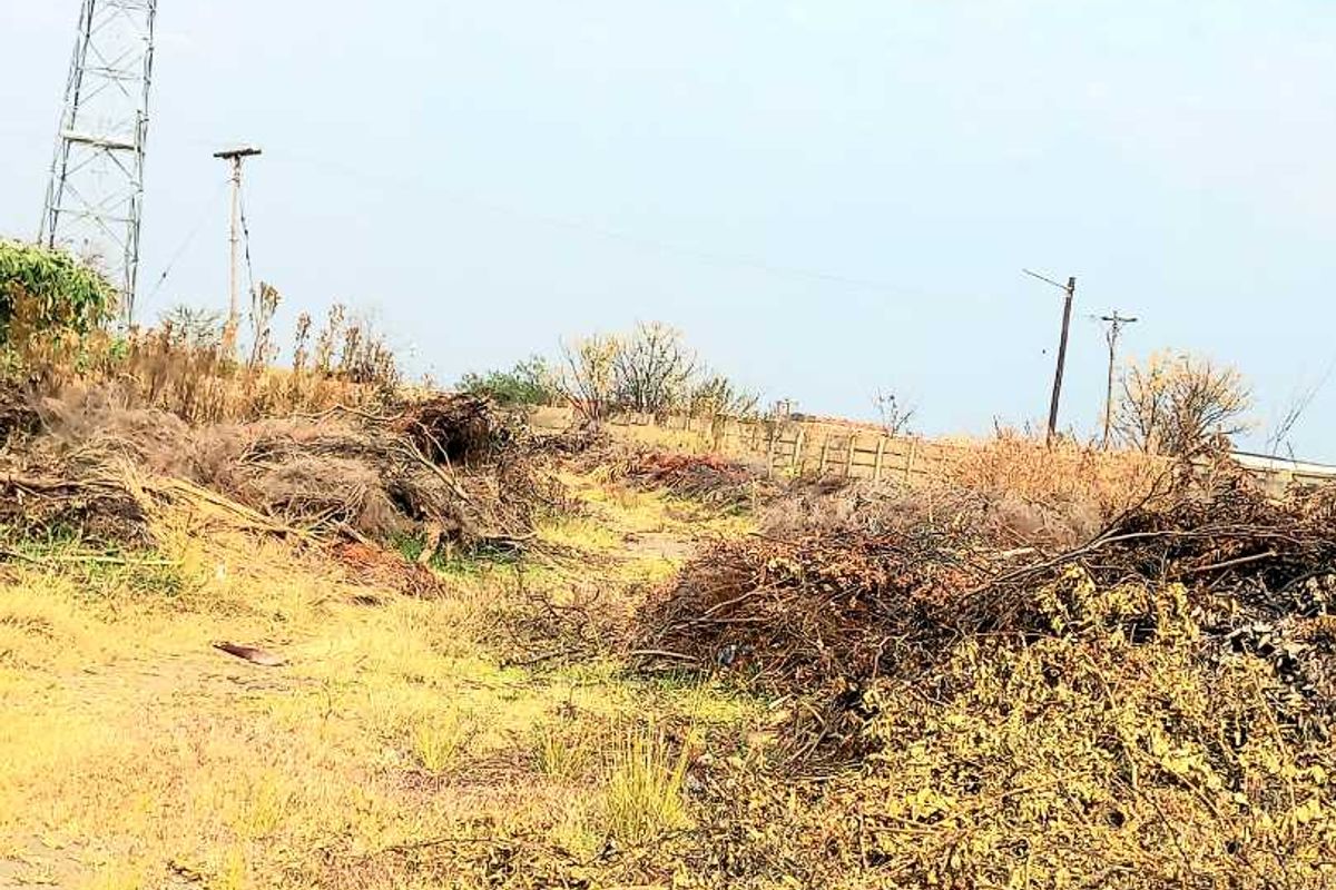 Farm land - Photo 3
