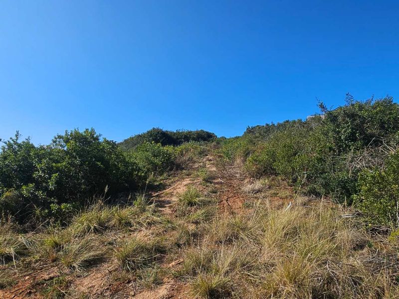 Plot & Plan options now selling in Hartland Lifestyle Estate - Photo 3