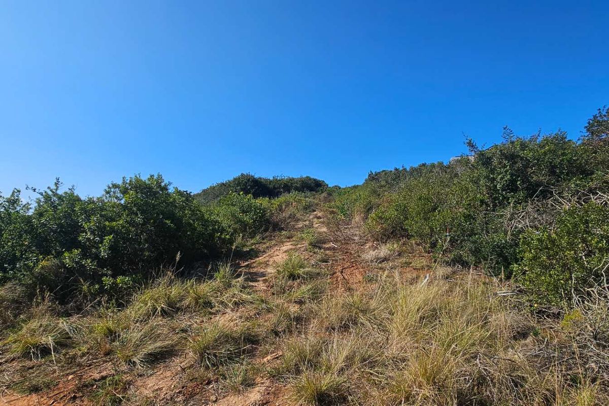 Plot & Plan options now selling in Hartland Lifestyle Estate - Photo 3