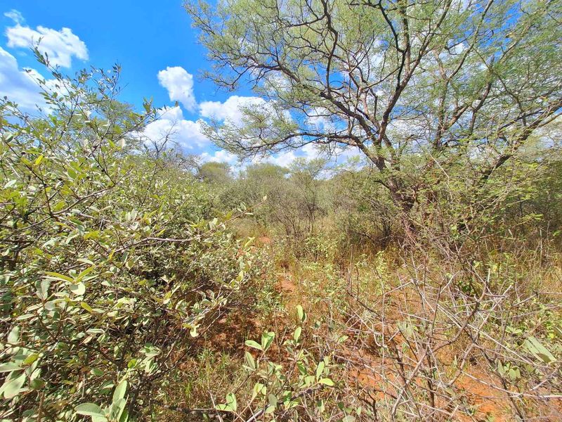 Exclusive Stand Awaits - Discover Serenity - Photo 2