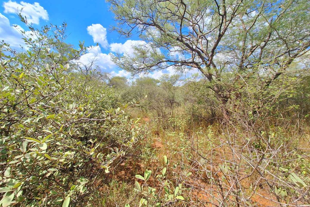 Exclusive Stand Awaits - Discover Serenity - Photo 2