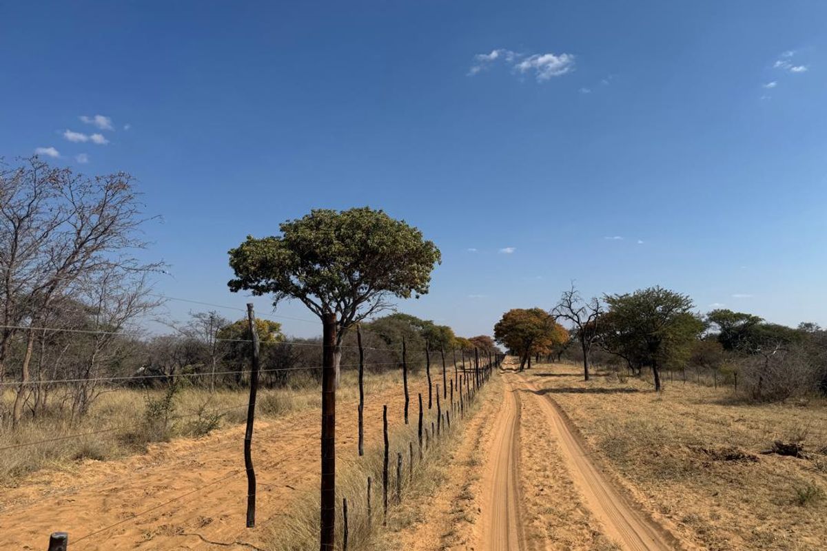 A rural farm landscape featuring a dirt access track bordered by wire fencing and wooden posts, set against a clear blue sky.