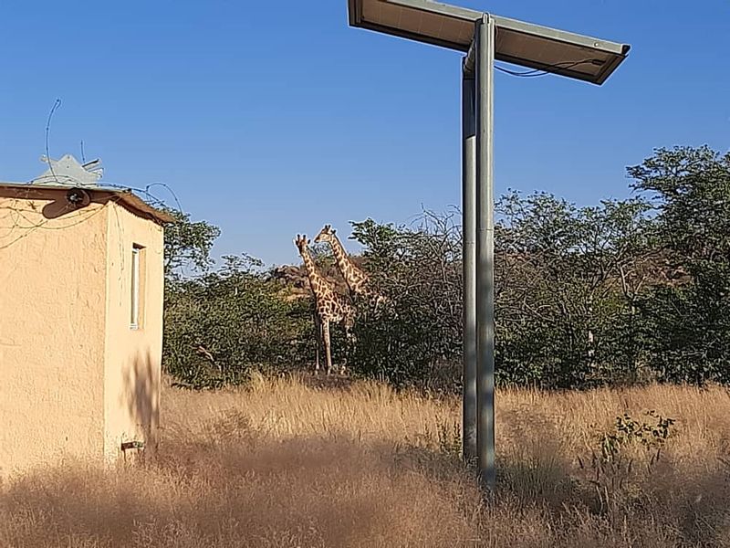 Small Holding In Kamanjab - Photo 6