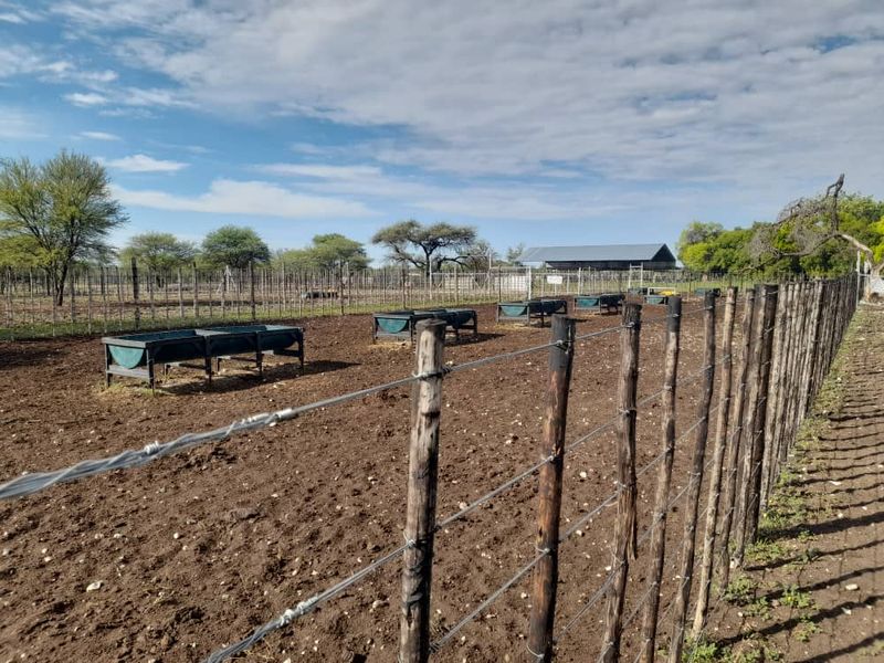 "Exceptional Farm for sale: Livestock, game & Luxury Living Combined - Photo 7