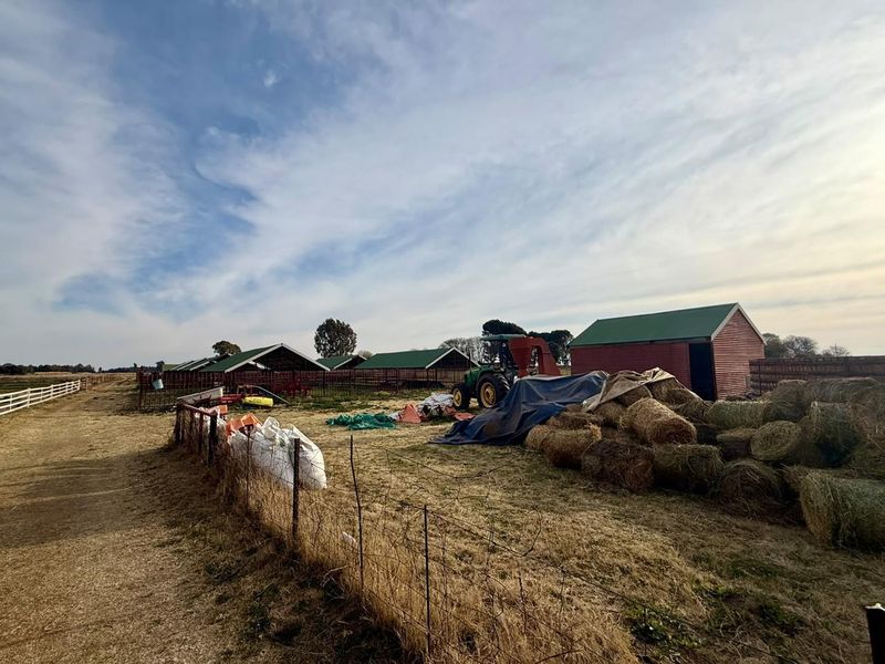 A view of the farm yard featuring multiple agricultural sheds, wire fencing, and open grazing land.