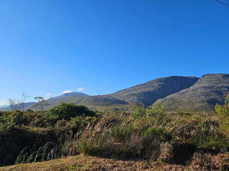 Furnished Pet Friendly in Bettys Bay : Ready September 2025 ! - Photo 4