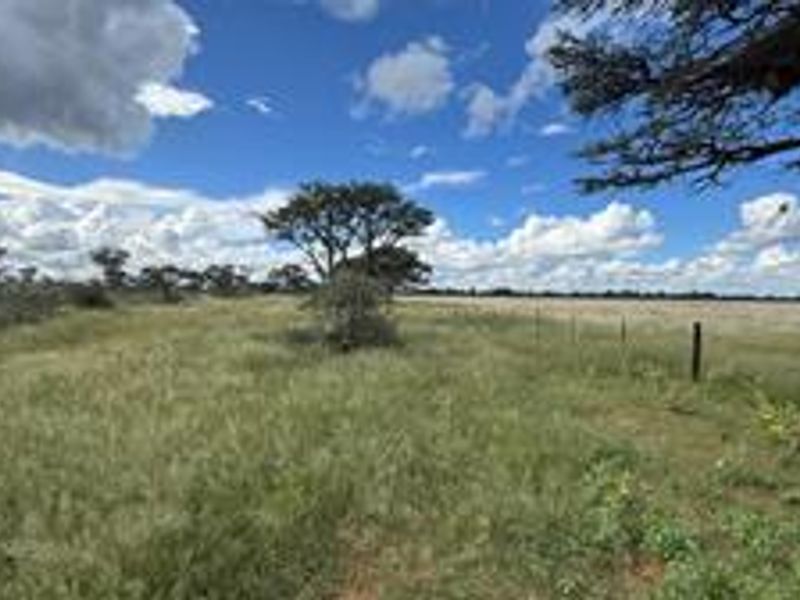 Discover this incredible 4500ha farm offering a perfect blend of modern infrastructure, abundant water resources, and rich wildlife - Photo 6