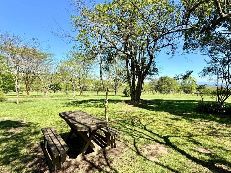 4.7 ha Smallholding for Sale in Thornville | Space, Position & Work-from-Home Potential - Photo 6