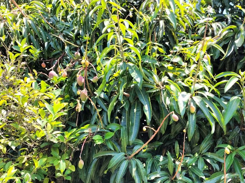 Small holding on the Clarmont road - Photo 4